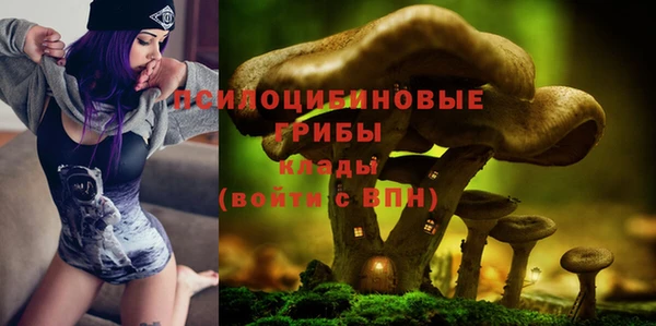 героин Дмитриев